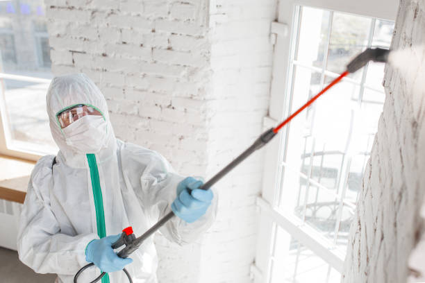 Best Mold Remediation for Healthcare Facilities  in Somers, MT