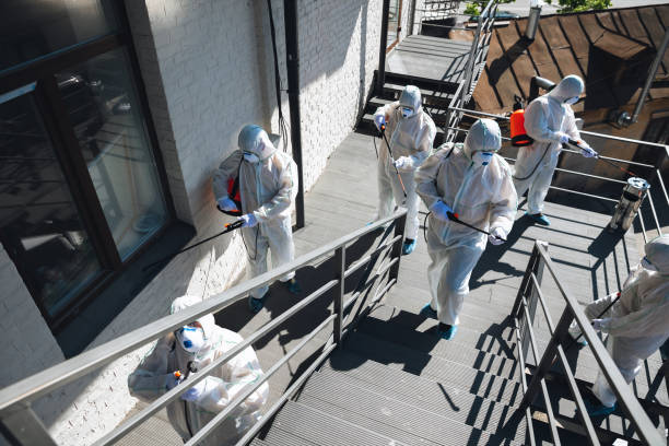 Best Water Damage & Mold Remediation  in Somers, MT