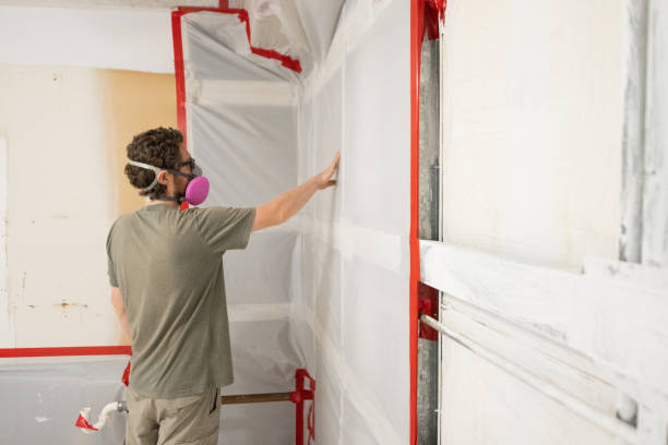 Best Mold Documentation for Insurance Claims  in Somers, MT