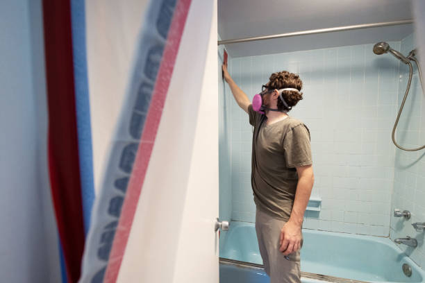 Best Basement Mold Removal  in Somers, MT