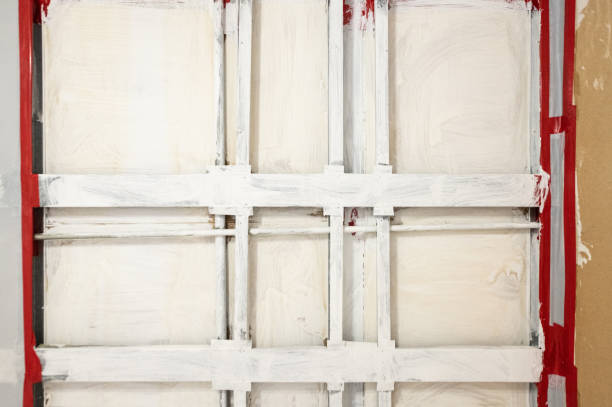 Best Biohazard Mold Removal  in Somers, MT